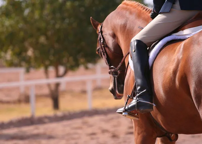 Diana Accommodations