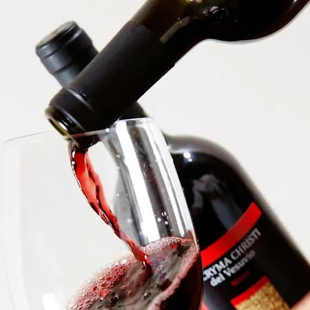 Diana Accommodations Gæstehus